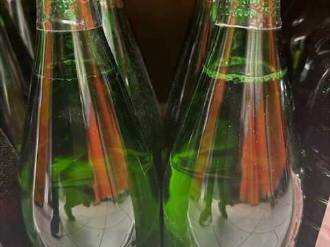 vino bianco  BIVONGI alta Qualita' 1lt
